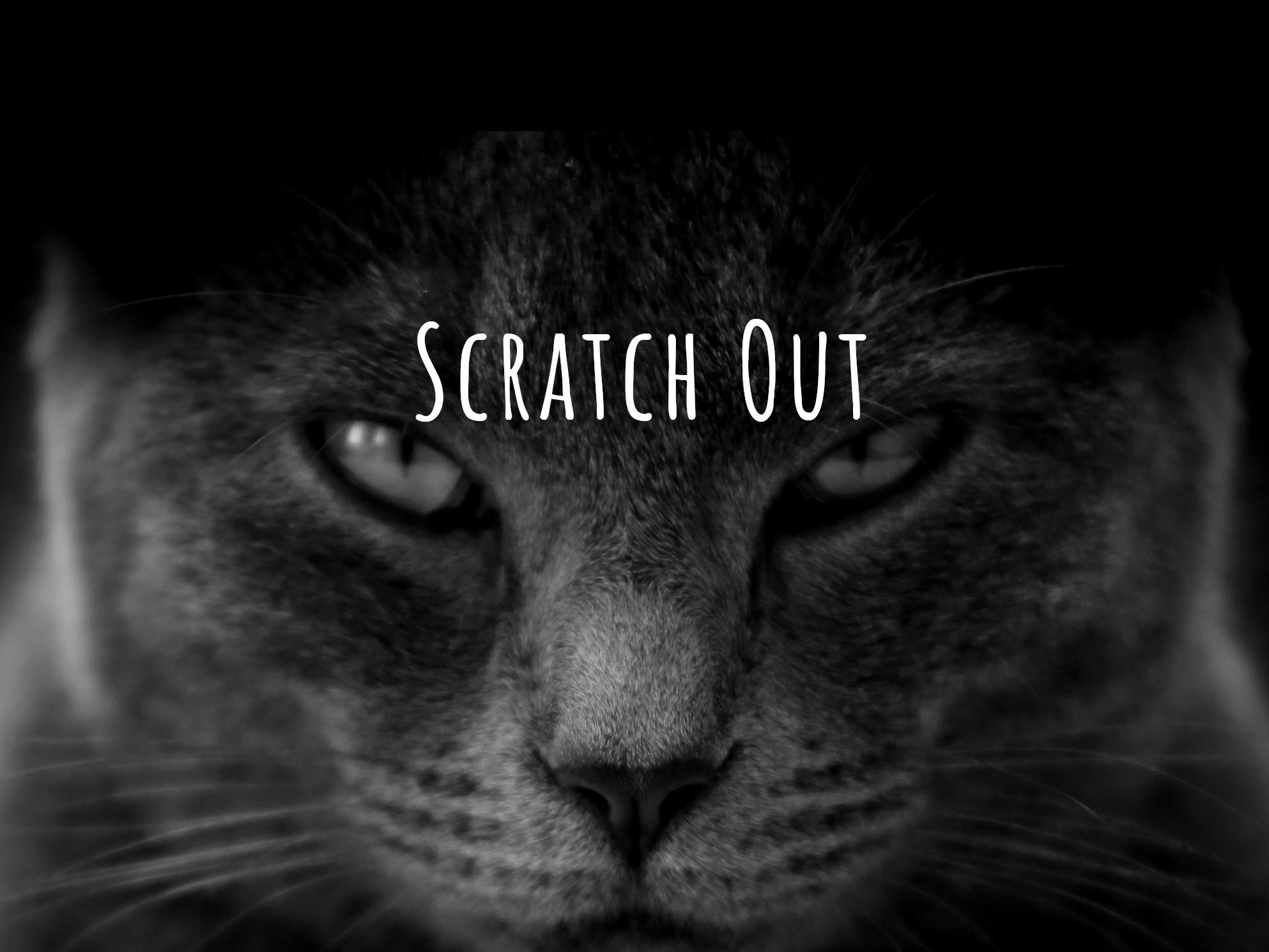 Scratch Out Hate Header